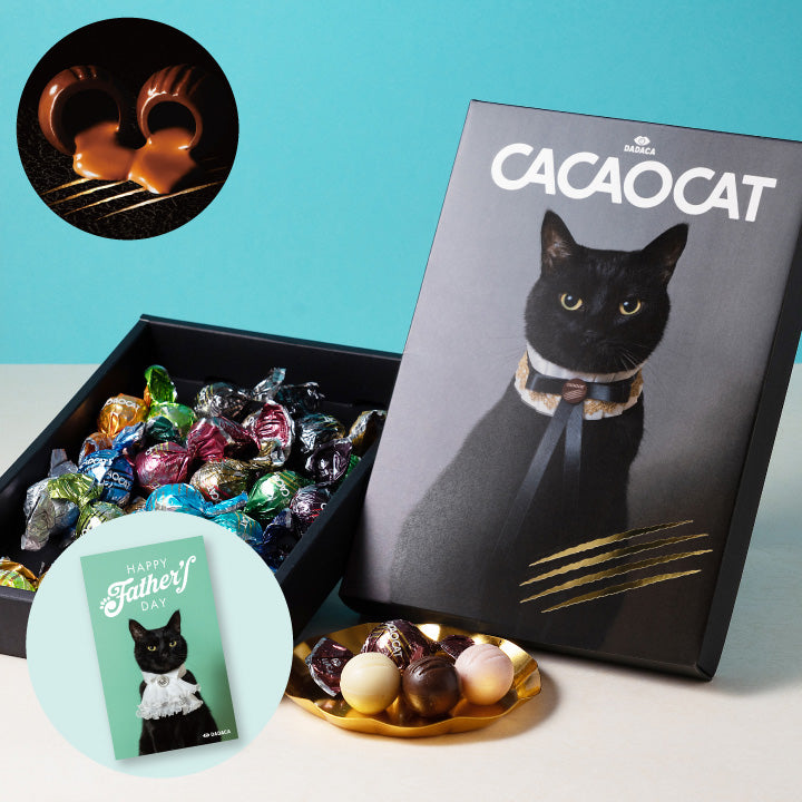 CACAOCAT 24個入 CAT ｜DADACA Online Store