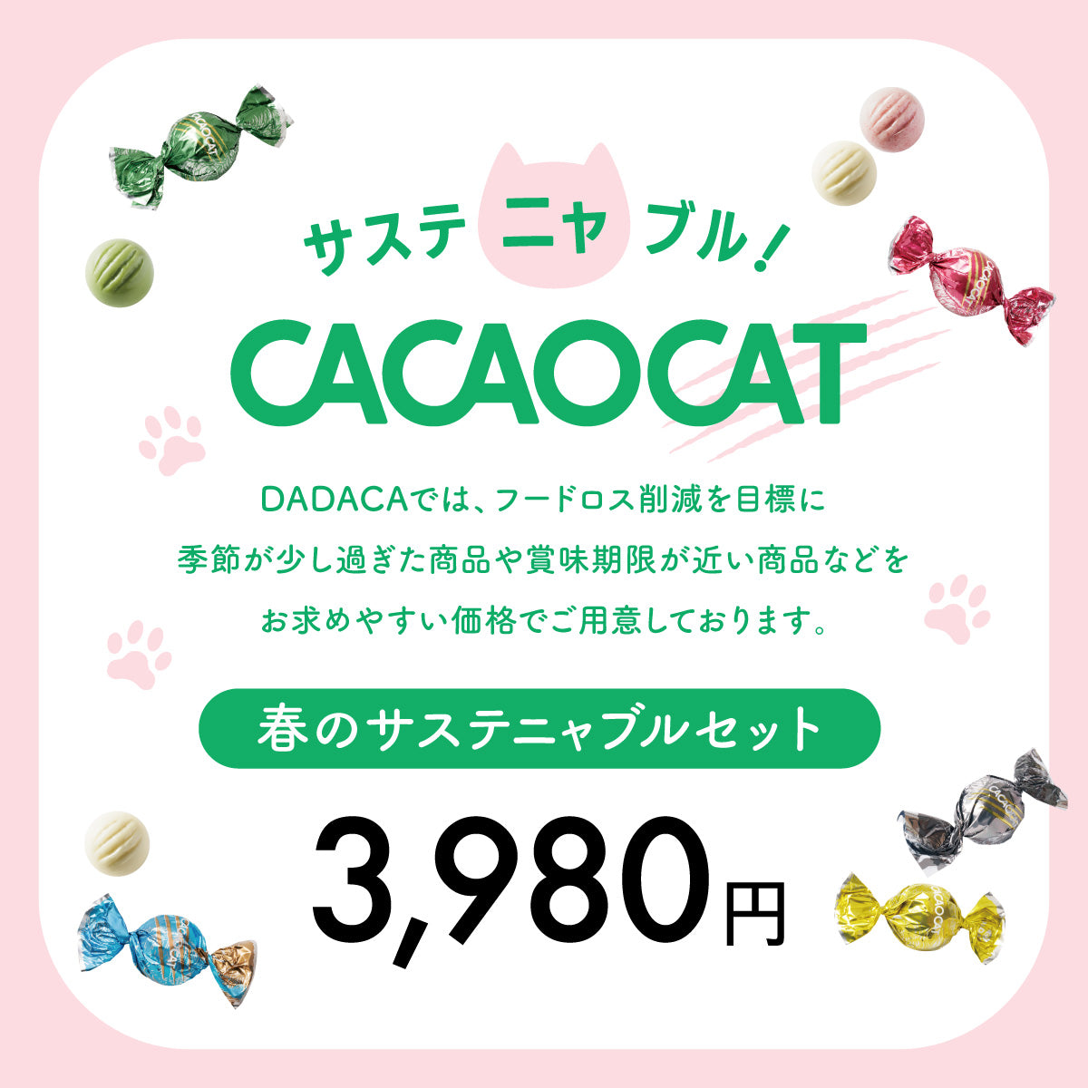 サステニャブル ｜DADACA Online Store