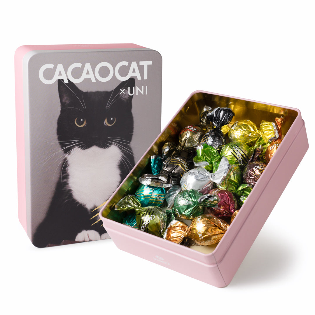 CACAOCAT缶 14個入り UNI ｜DADACA Online Store