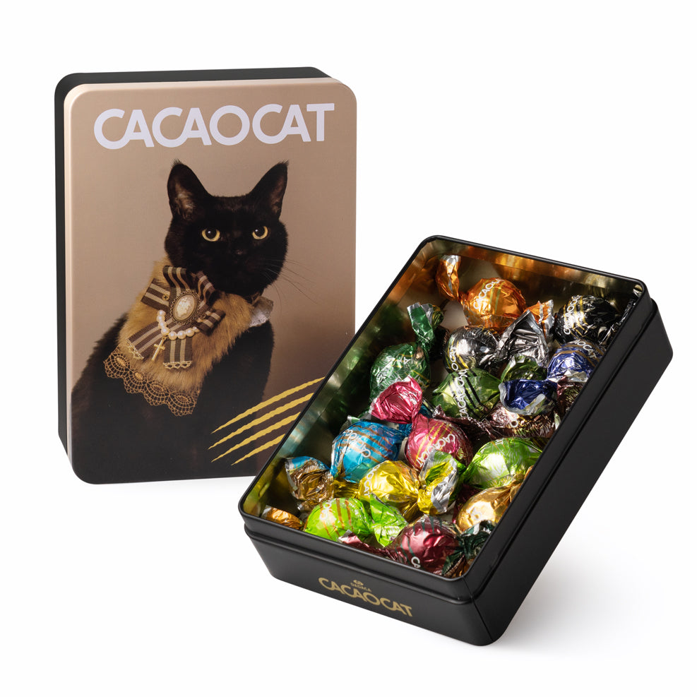 CACAOCAT缶 14個入 FAVORITE ｜DADACA Online Store