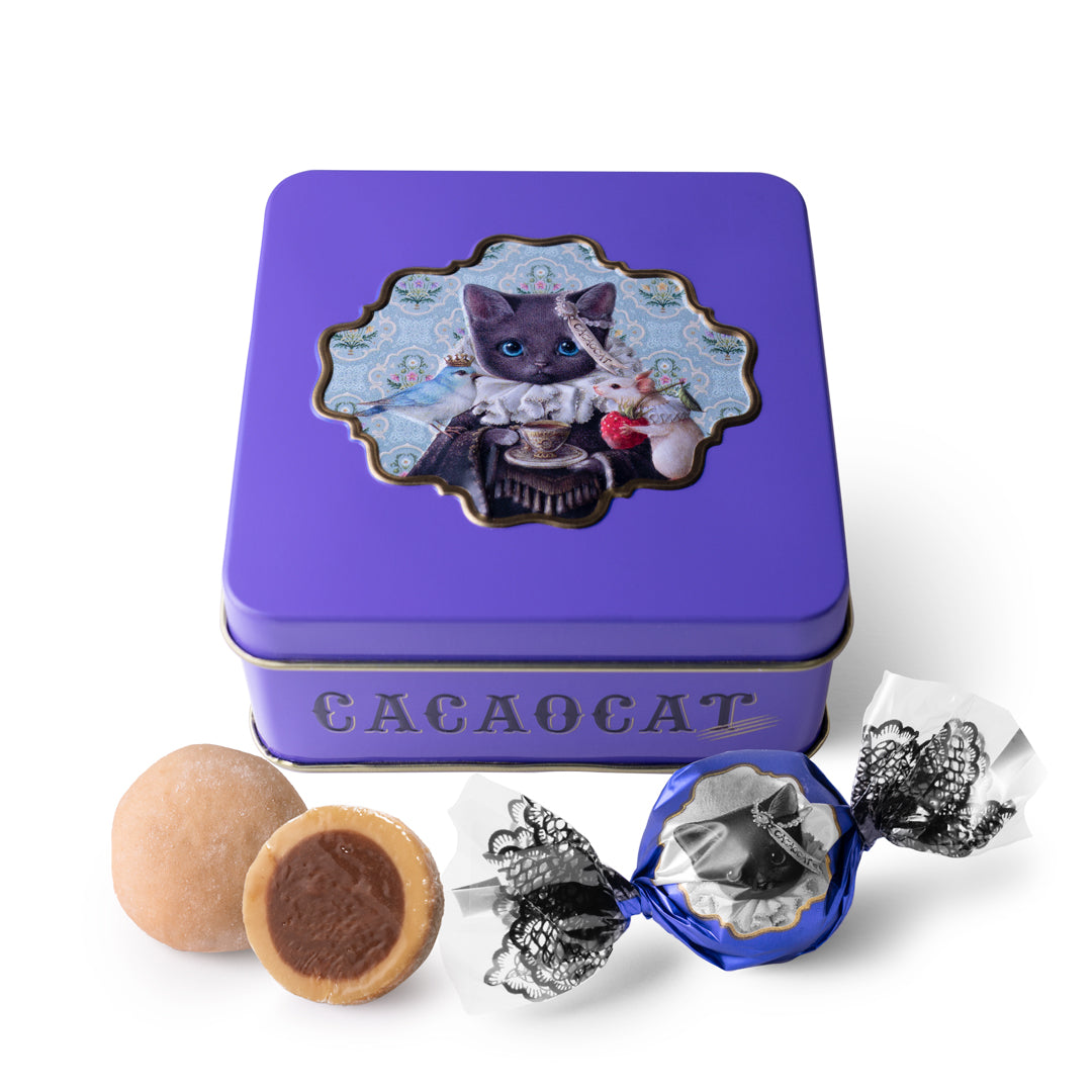 DREAMING CACAOCAT 塩キャラメル 5個入り ｜DADACA Online Store