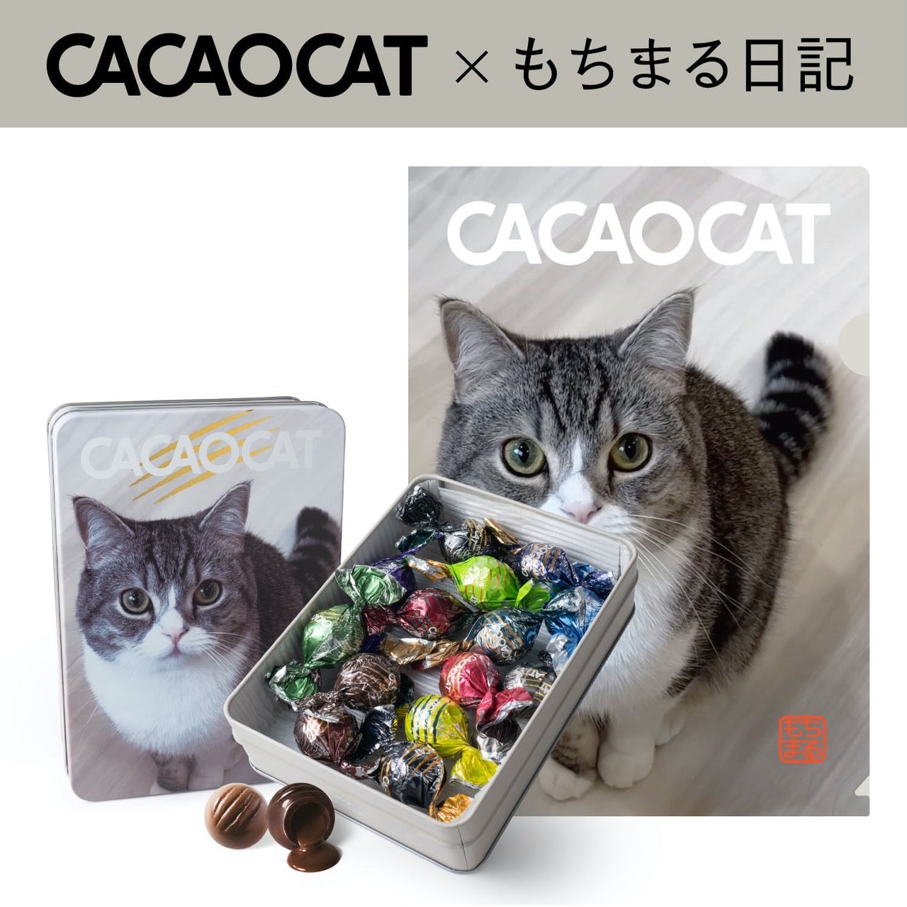 CACAOCAT缶 ミックス 14個入り もちまる【クリアファイル付き ...
