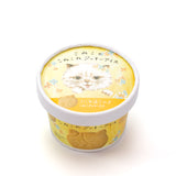 CACAOCAT ICE BAR × こねこねアイスセット