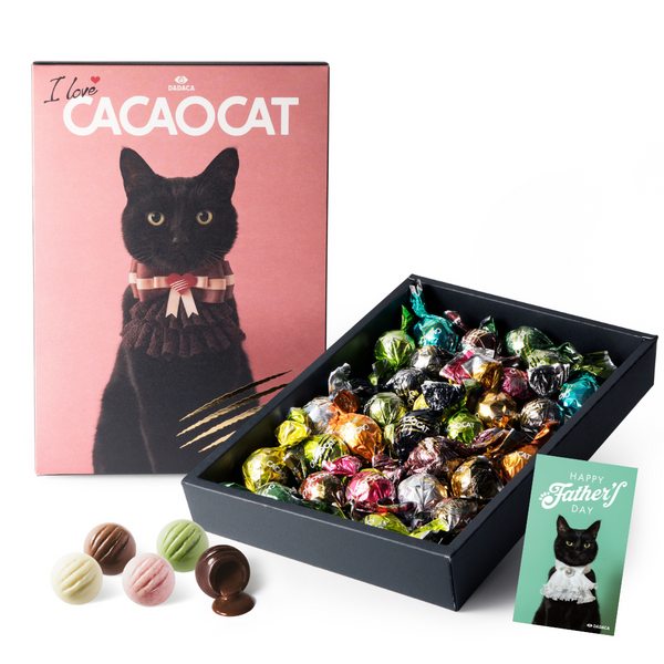 【父の日 カード付き】I love CACAOCAT 28個入り