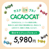 《50%OFF》秋の【サスティニャブル福袋】 5,980円《送料込価格》
