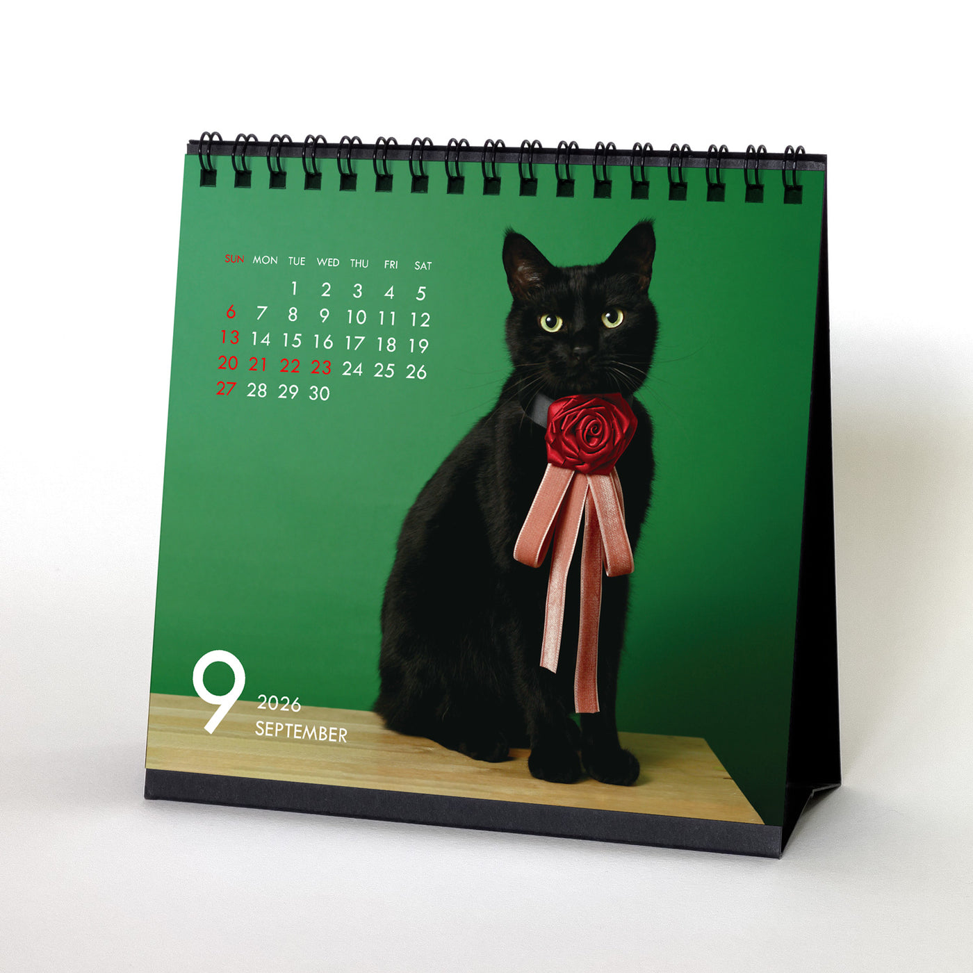 2026年 カレンダーセット CACAOPOD ｜DADACA Online Store