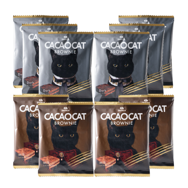 CACAOCAT BROWNIE 10個セット