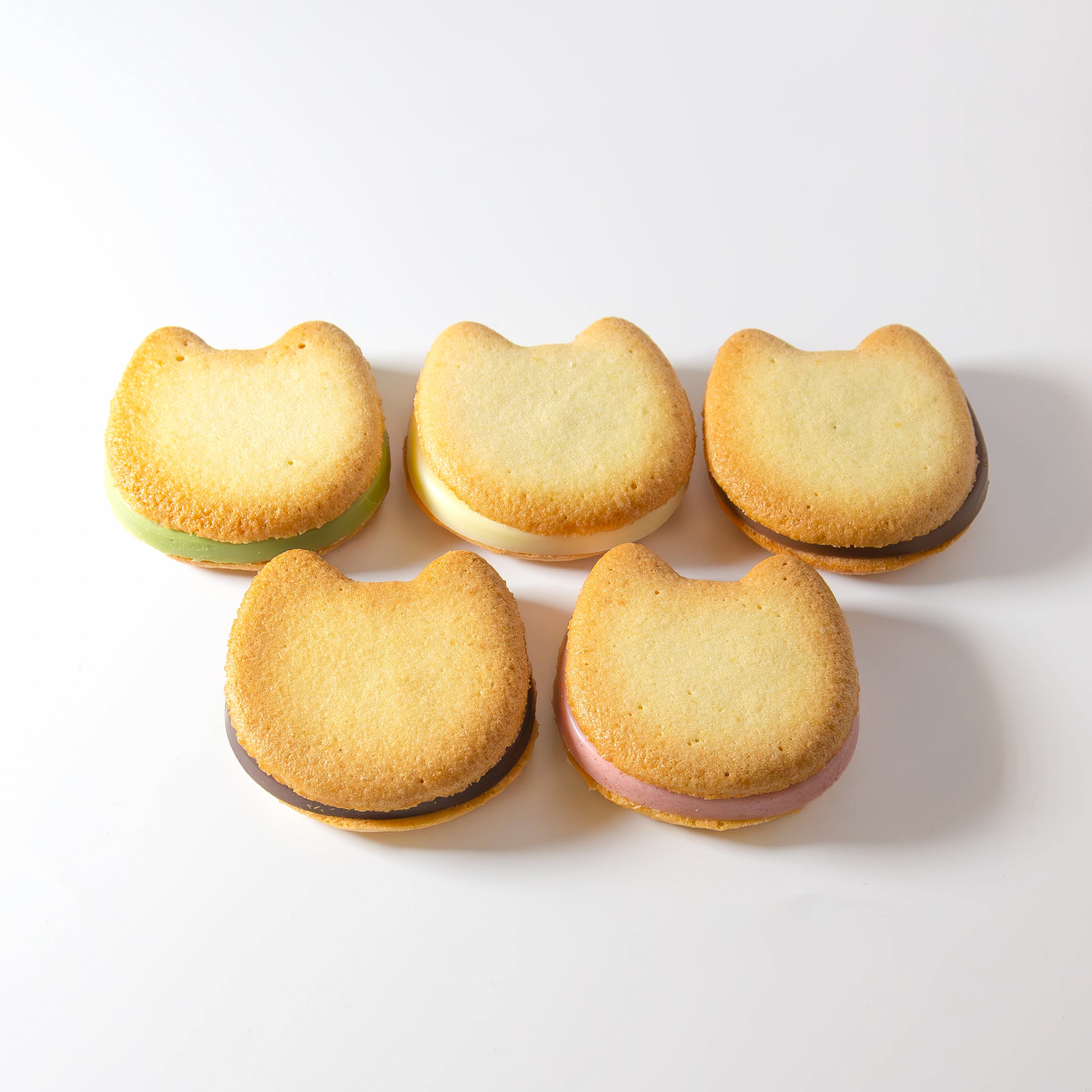 CACAOCAT SAND缶 ミックス 5個入り ｜DADACA Online Store
