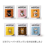 【41%OFF】春のサステニャブル福袋 3,980円《送料無料》