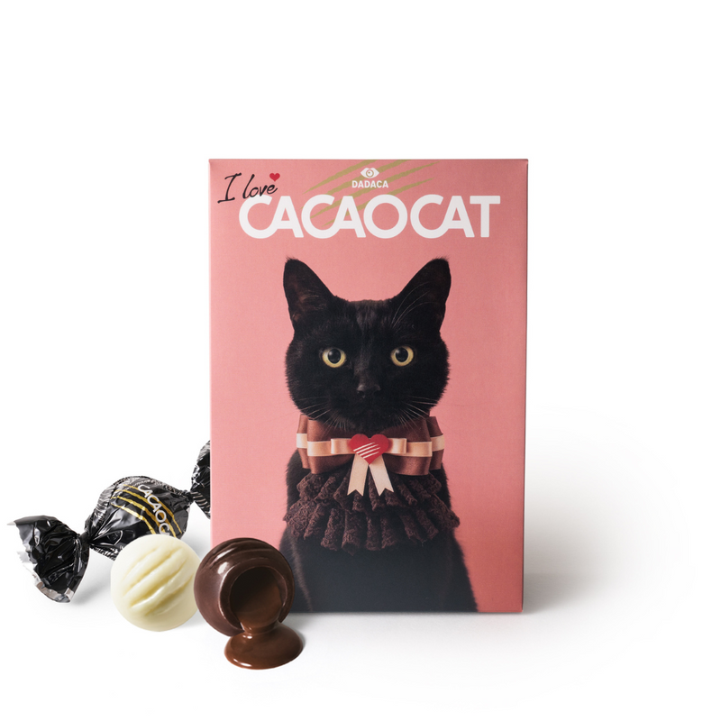 I love CACAOCAT 9個入り