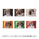 【41%OFF】春のサステニャブル福袋 3,980円《送料無料》