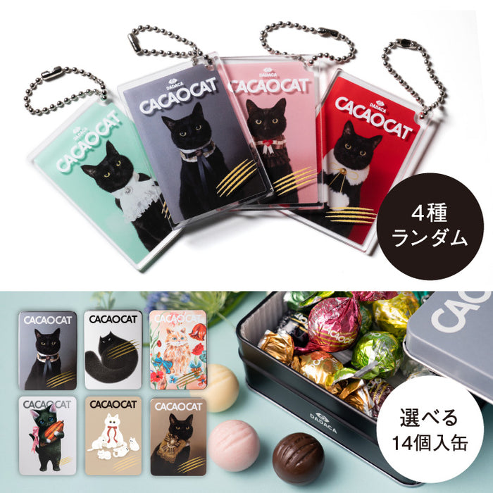 CACAOCAT ｜DADACA Online Store