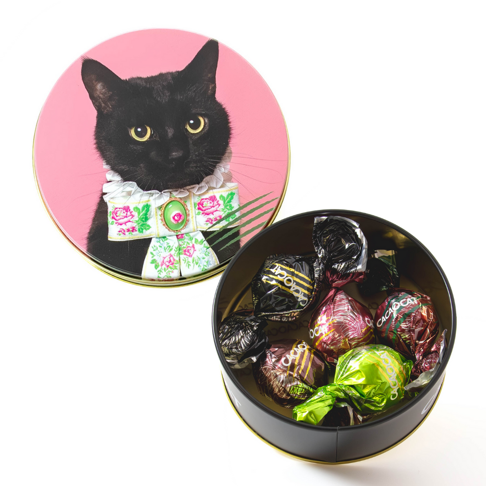 CACAOCAT缶 ミックス 5個入り RIBBON |DADACA Online Store CACAOCAT缶 ミックス 5個入り RIBBON |DADACA Online Store