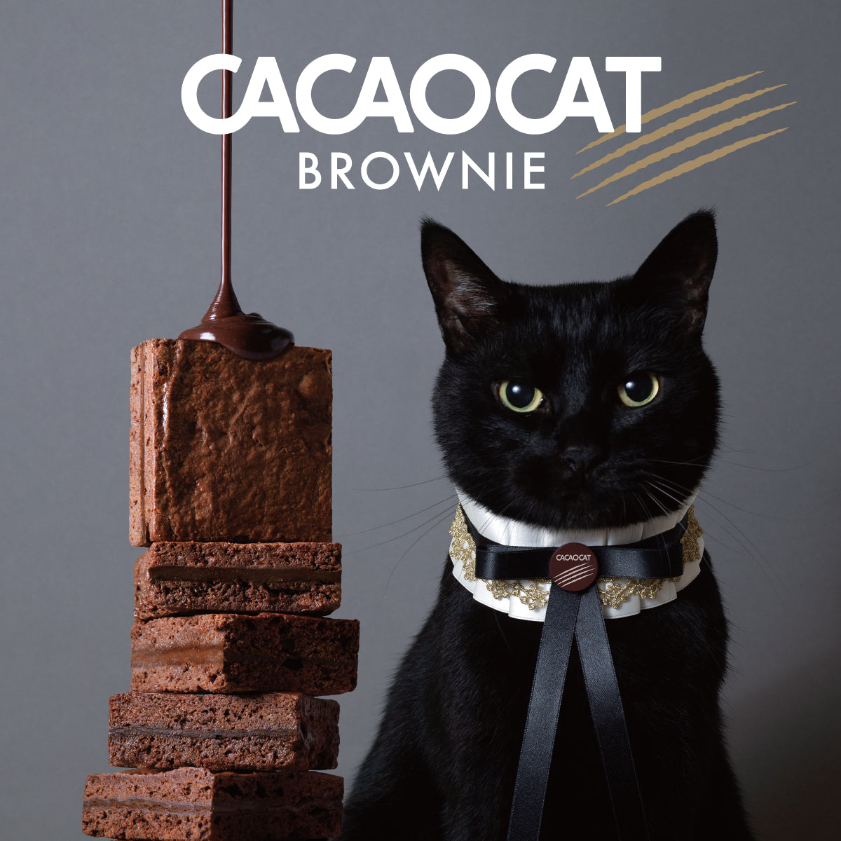 ショコページ CACAOCAT BROWNIE ミックス6個入り ｜DADACA Online Store