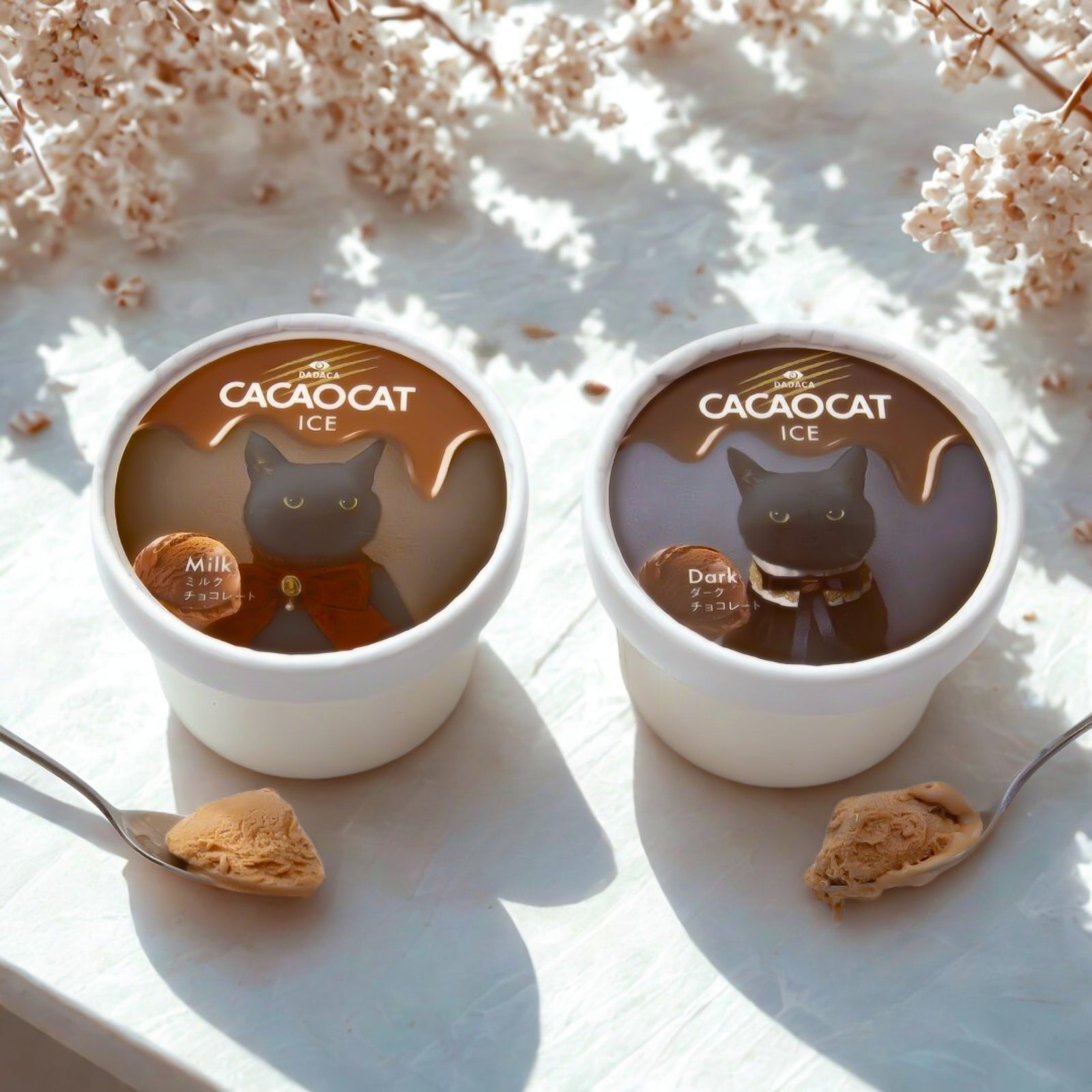 CACAOCAT ICE 6個セット ｜DADACA Online Store