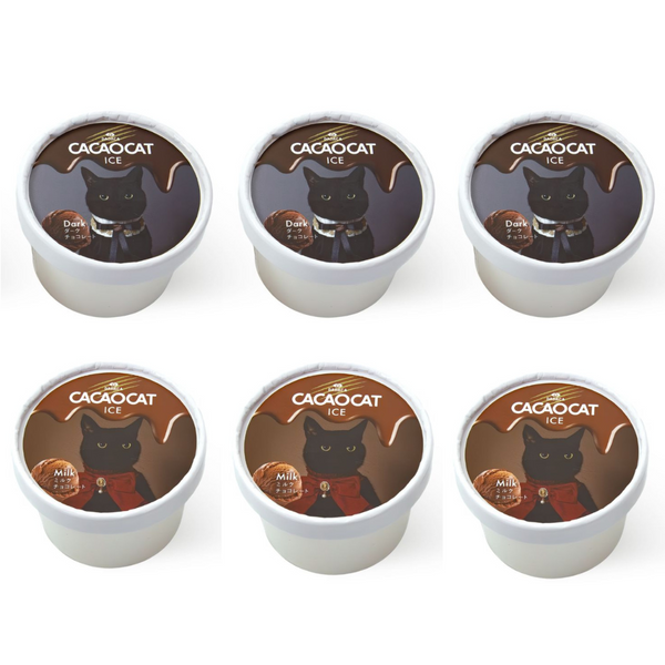 CACAOCAT ICE 6個セット