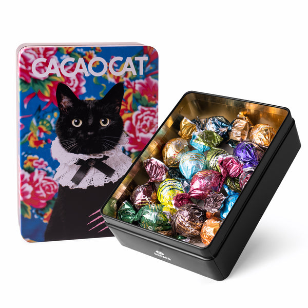 CACAOCAT缶 14個入り BLOOM ｜DADACA Online Store