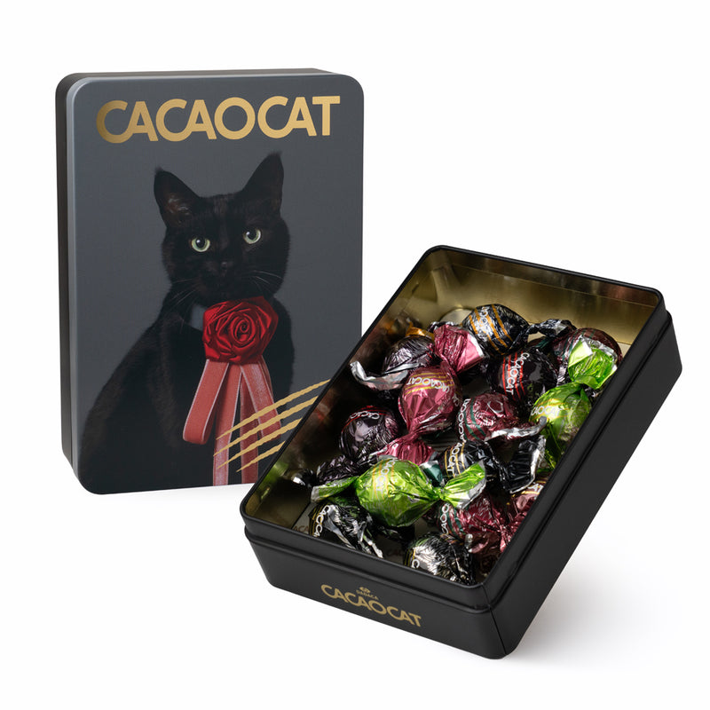 CACAOCAT缶 14個入 NOIR ｜DADACA Online Store
