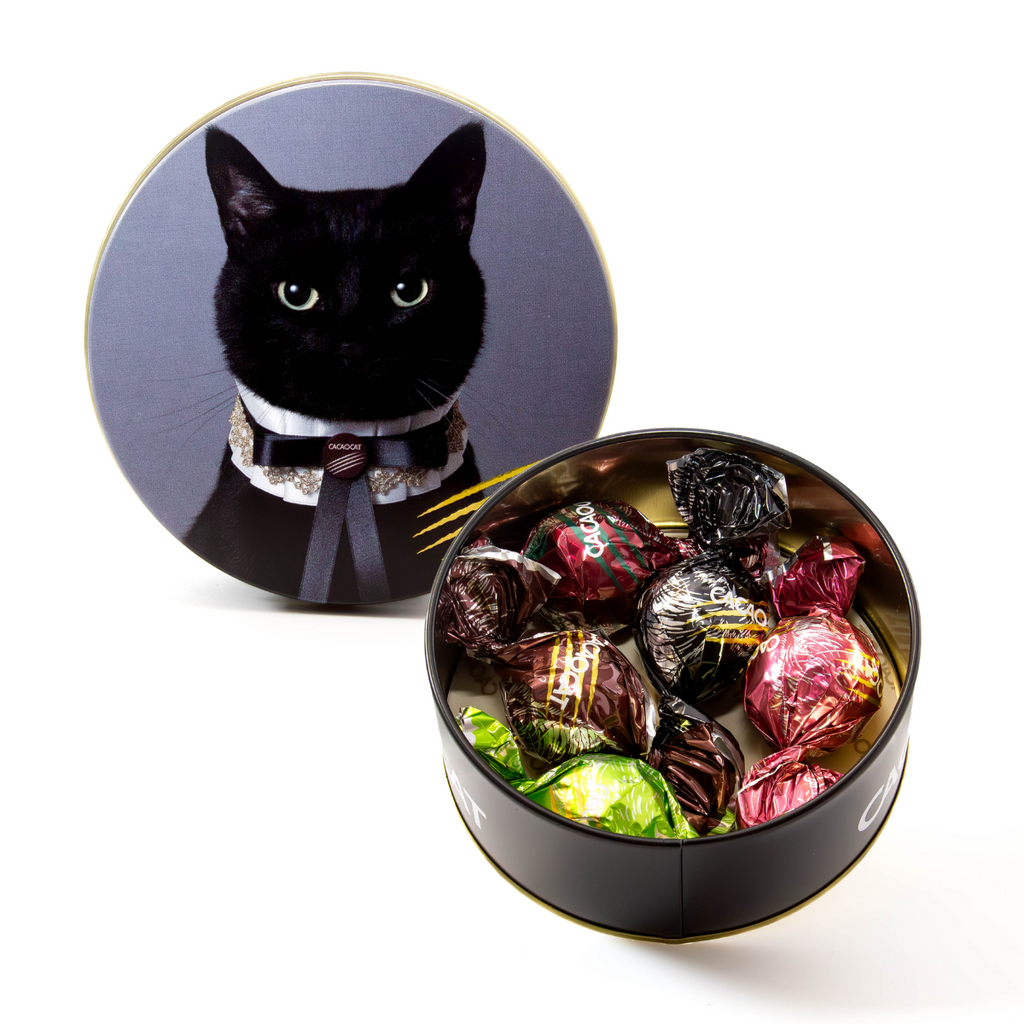 CACAOCAT缶 5個入 CAT |DADACA Online Store CACAOCAT缶 5個入 CAT |DADACA Online Store