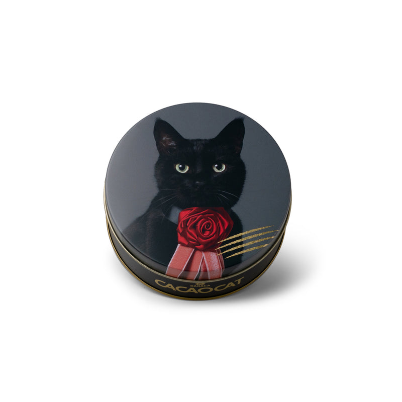 CACAOCAT缶 5個入 NOIR ｜DADACA Online Store