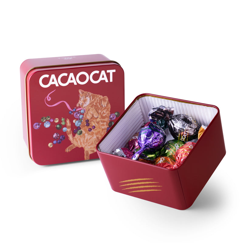 限定缶 チョコレート缶 CACAOCAT カカオキャット - 菓子