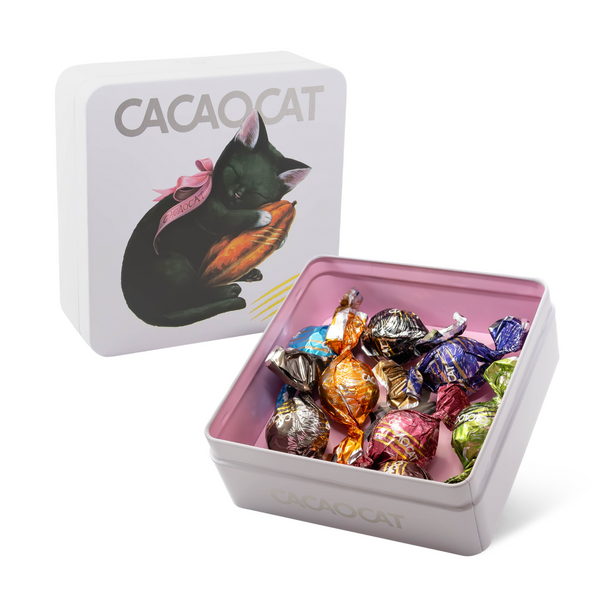 CACAOCAT缶 8個入り CACAO POD