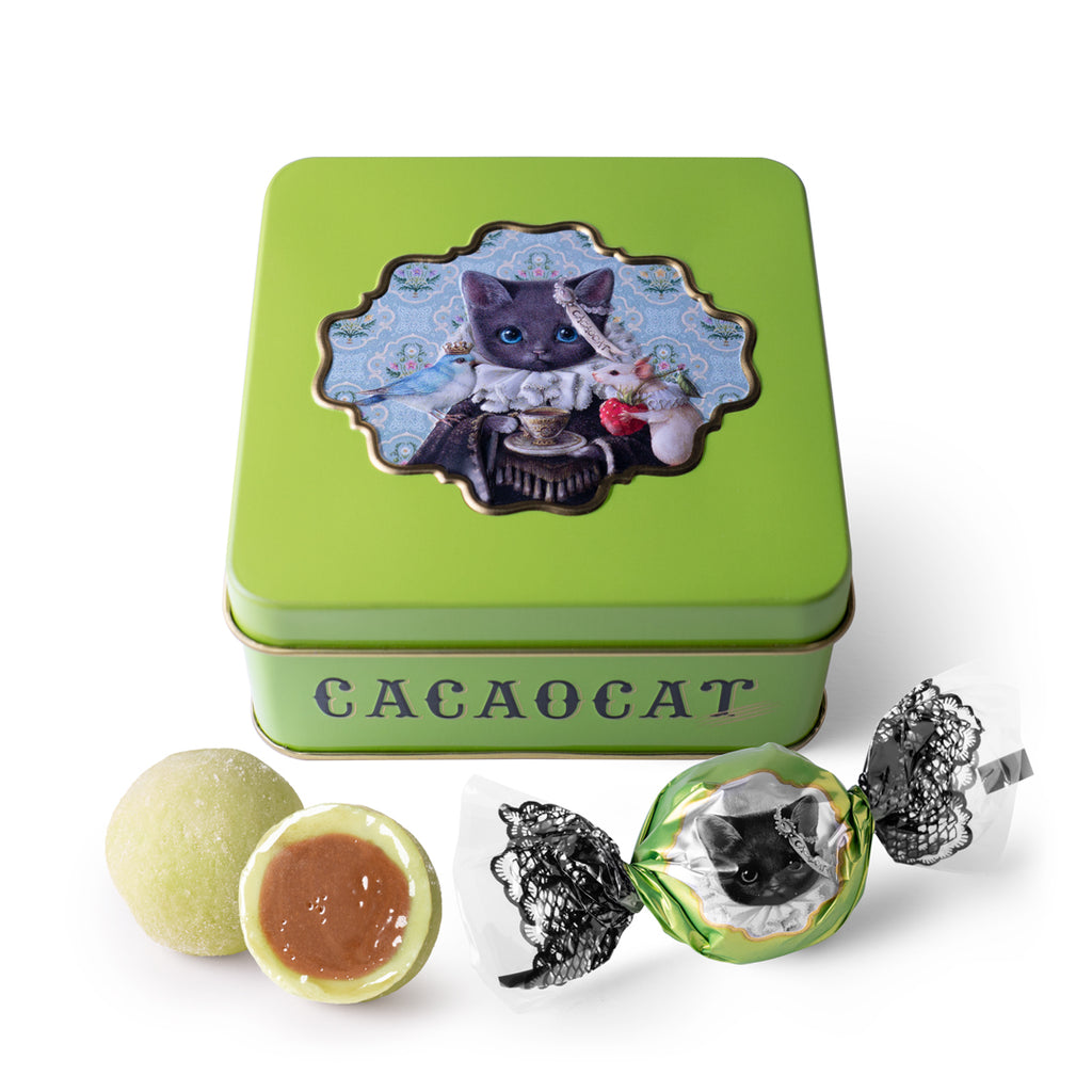 EDANE カディコットン　ベスト　オーロラティー EDANE カディコットン ベスト オーロラティー EDANE カディコットン