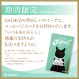 CACAOCAT缶 8個入り CACAO POD