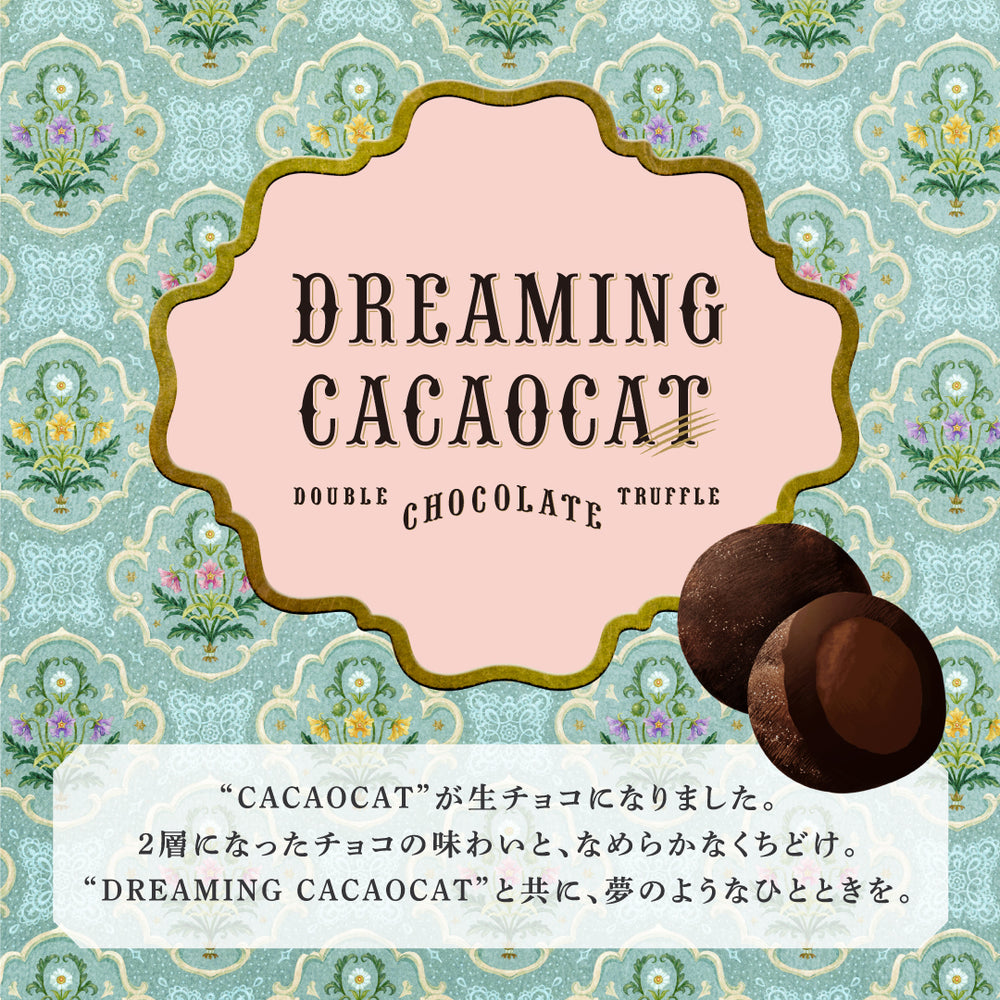 DREAMING CACAOCAT 塩キャラメル 5個入り ｜DADACA Online Store