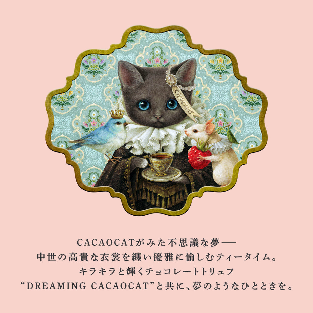 DREAMING CACAOCAT 12個入り ｜DADACA Online Store