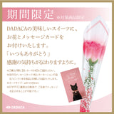 CACAOCAT缶 8個入り CARNATION
