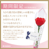 トリプルカカオテリーヌショコラ