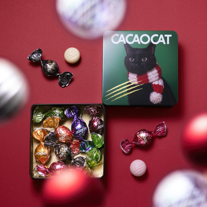 CACAOCAT缶 ミックス 8個入り CHRISTMAS