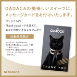 こねこのこねこねクッキーアイス 6種セット