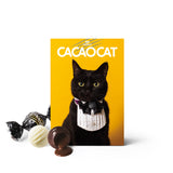CACAOCAT 6個入 YELLOW
