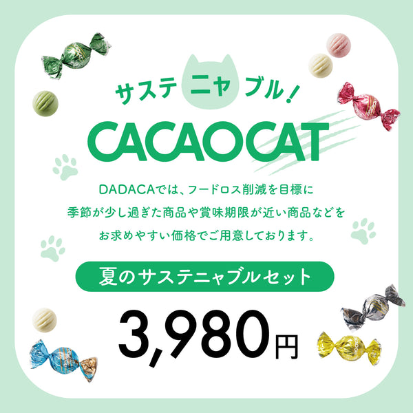 mmts（マミタス）× CACAOCAT ｜DADACA Online Store