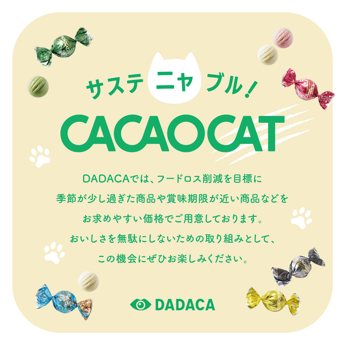サスティニャブル【69%OFF】CACAOCAT BROWNIE クルミ 50個セット
