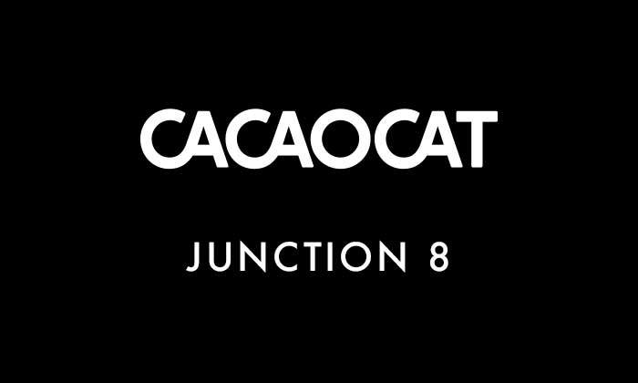 Junction 8