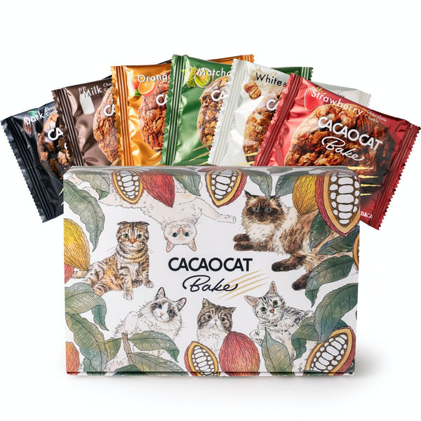 CACAOCAT Bake ミックス 6個入り ｜DADACA Online Store