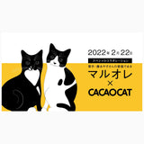 CACAOCAT×マルオレ ミックス 13個入り