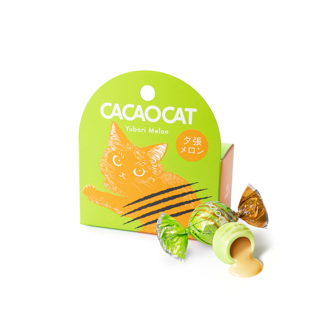 オオモリ キヨ　ココアキャット オオモリ キヨ ココアキャット CACAOCAT ｜DADACA Online Store