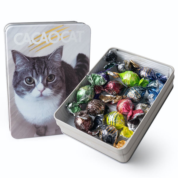 CACAOCAT缶 ミックス 14個入り もちまる【クリアファイル付き】