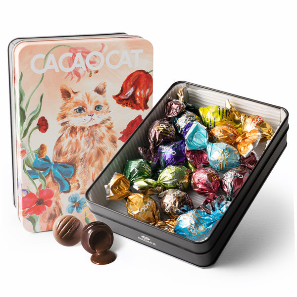 【期間限定】 14個入り CACAOCAT缶 FLOWER Store Online ｜DADACA 菓子