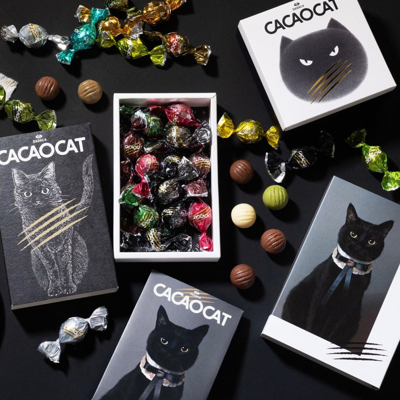 CACAOCAT缶 14個入り CAT ｜DADACA Online Store