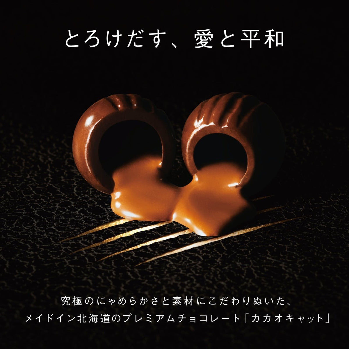 CACAOCAT缶 8個入り WHITE ｜DADACA Online Store