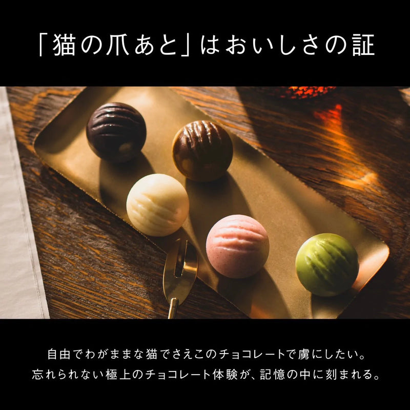 CACAOCAT缶 14個入り BLACK